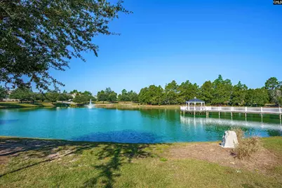 520 Ariel Circle, Lexington, SC 29072 - Photo 51