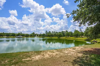 520 Ariel Circle, Lexington, SC 29072 - Photo 53