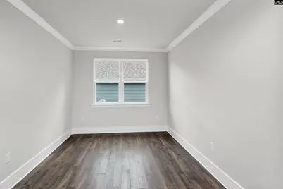 125 Sunny Stream Drive, Chapin, SC 29054 - Photo 3