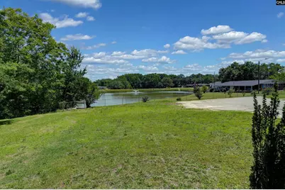303 Nell Street, Batesburg, SC 29006 - Photo 3