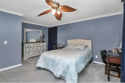 330 Cockspur Road, Irmo, SC 29063 - Photo 17