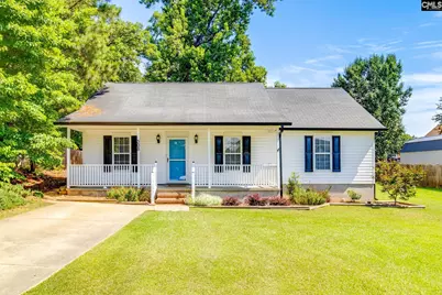 308 Cutter Court, Chapin, SC 29036 - Photo 1