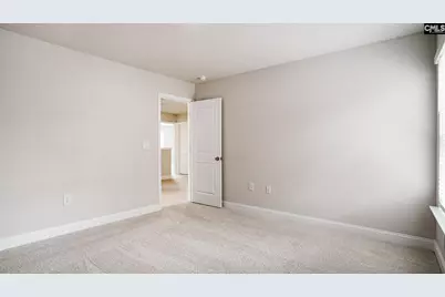 129 Sunny Stream Drive, Chapin, SC 29054 - Photo 23