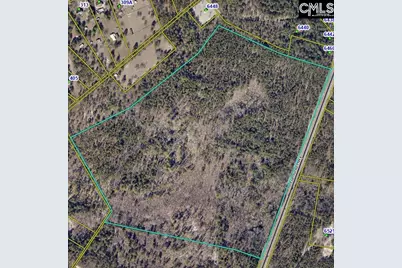 0 Edmund Highway, Pelion, SC 29073 - Photo 1
