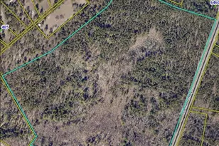 0 Edmund Hwy, Pelion, SC 29073 - Photo 1