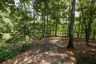 113 Ashley Ridge Road, Blythewood, SC 29016 - Photo 55