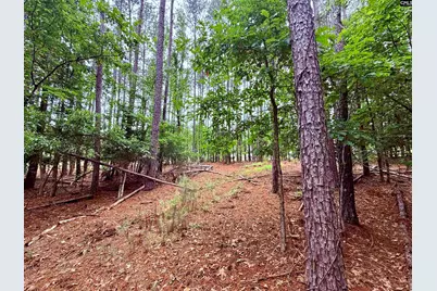 Lot 84 Timber Trail Lane #84, Prosperity, SC 29127 - Photo 11