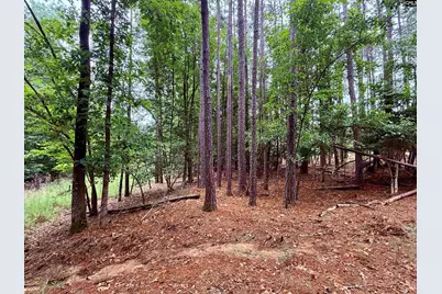 Lot 84 Timber Trail Lane #84, Prosperity, SC 29127 - Photo 9