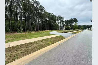 Lot 84 Timber Trail Lane #84, Prosperity, SC 29127 - Photo 3