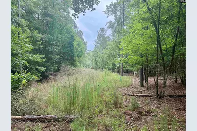 Lot 84 Timber Trail Lane #84, Prosperity, SC 29127 - Photo 5