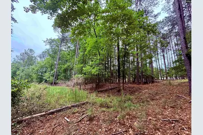 Lot 84 Timber Trail Lane #84, Prosperity, SC 29127 - Photo 7