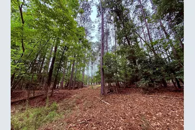 Lot 85 Timber Trail Lane #85, Prosperity, SC 29127 - Photo 11