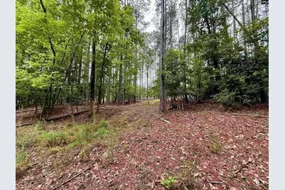 Lot 85 Timber Trail Lane #85, Prosperity, SC 29127 - Photo 7