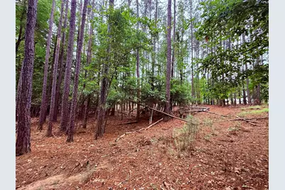 Lot 85 Timber Trail Lane #85, Prosperity, SC 29127 - Photo 9