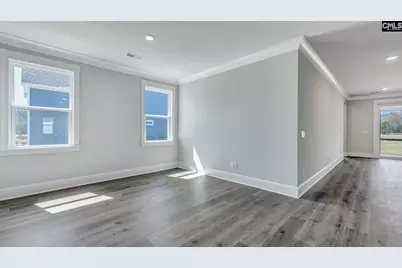 133 Sunny Stream Drive, Chapin, SC 29054 - Photo 11