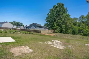 459 Blue Robin Ln, Columbia, SC 29210 - Photo 19
