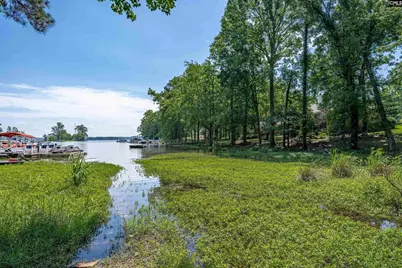308 Night Harbor Drive, Chapin, SC 29036 - Photo 53