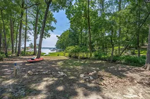 308 Night Harbor Dr, Chapin, SC 29036 - Photo 55