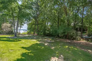 308 Night Harbor Dr, Chapin, SC 29036 - Photo 49