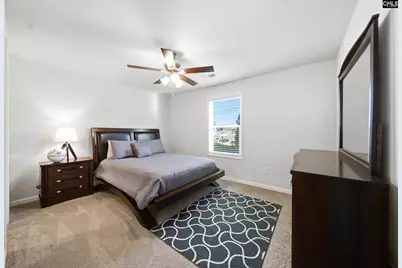 548 Bee Balm Drive, Blythewood, SC 29016 - Photo 19