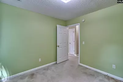 3 Careton Court, Chapin, SC 29036 - Photo 17