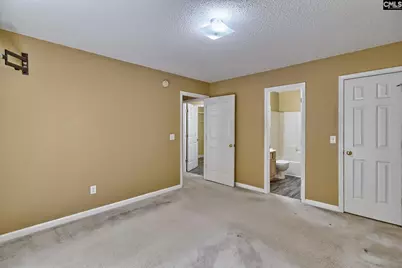 3 Careton Court, Chapin, SC 29036 - Photo 15