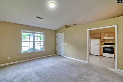 3 Careton Court, Chapin, SC 29036 - Photo 11