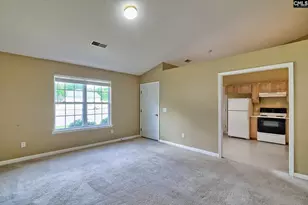 3 Careton Ct, Chapin, SC 29036 - Photo 11