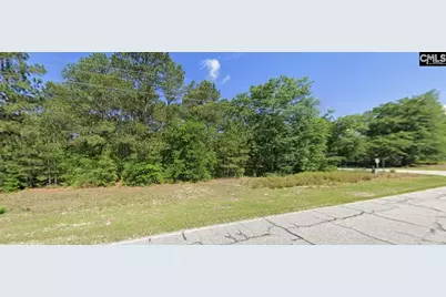 403 Gantt Street, Bethune, SC 29009 - Photo 3