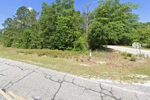 403 Gantt St, Bethune, SC 29009 - Photo 1