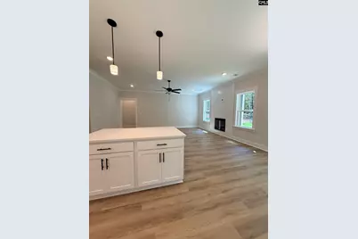3096 Cook Road, Ridgeway, SC 29130 - Photo 39