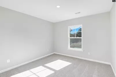 253 Boseman Road, Irmo, SC 29063 - Photo 25