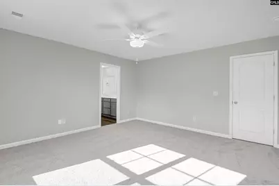 253 Boseman Road, Irmo, SC 29063 - Photo 31