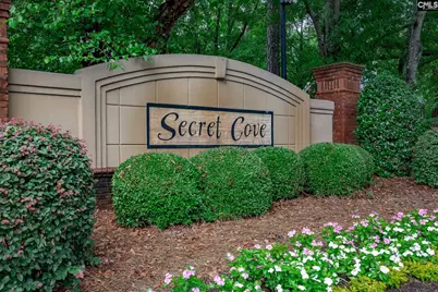 168 Secret Cove Drive, Lexington, SC 29072 - Photo 83