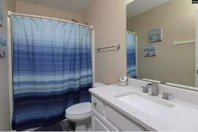 1158 Libby Ariail Circle, Chapin, SC 29036 - Photo 43