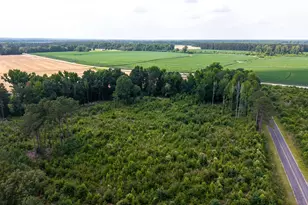 4300 Dubose Siding Rd Rd, Sumter, SC 29153 - Photo 19