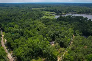 317 Horse Cove Rd, Gilbert, SC 29054 - Photo 91