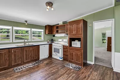 317 Horse Cove Road, Gilbert, SC 29054 - Photo 61
