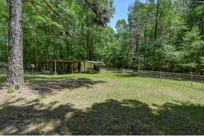 317 Horse Cove Road, Gilbert, SC 29054 - Photo 25