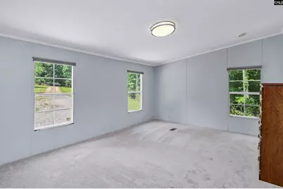 317 Horse Cove Road, Gilbert, SC 29054 - Photo 67