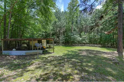 317 Horse Cove Road, Gilbert, SC 29054 - Photo 27