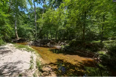 317 Horse Cove Road, Gilbert, SC 29054 - Photo 35