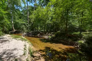 317 Horse Cove Rd, Gilbert, SC 29054 - Photo 35
