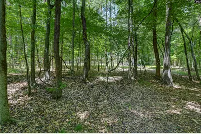317 Horse Cove Road, Gilbert, SC 29054 - Photo 29