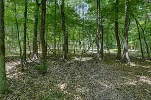 317 Horse Cove Rd, Gilbert, SC 29054 - Photo 29