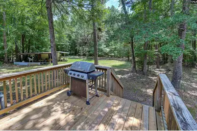 317 Horse Cove Road, Gilbert, SC 29054 - Photo 23
