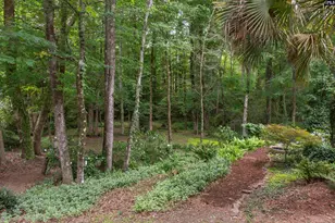 101 Woolbright Ave, Chapin, SC 29036 - Photo 53