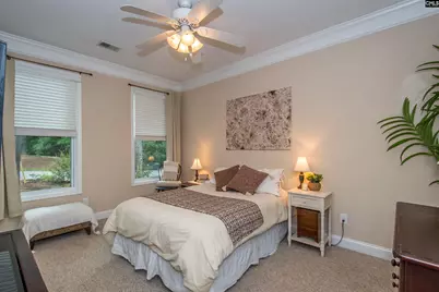 101 Woolbright Avenue, Chapin, SC 29036 - Photo 37