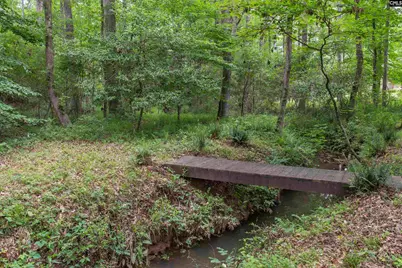 101 Woolbright Avenue, Chapin, SC 29036 - Photo 55