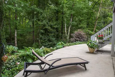 101 Woolbright Avenue, Chapin, SC 29036 - Photo 47